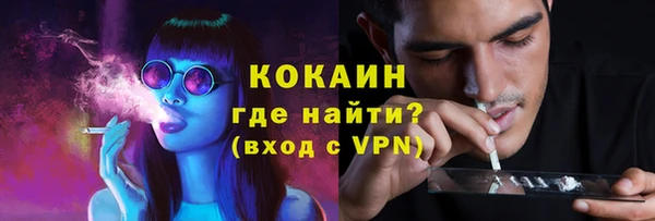 спайс Алзамай
