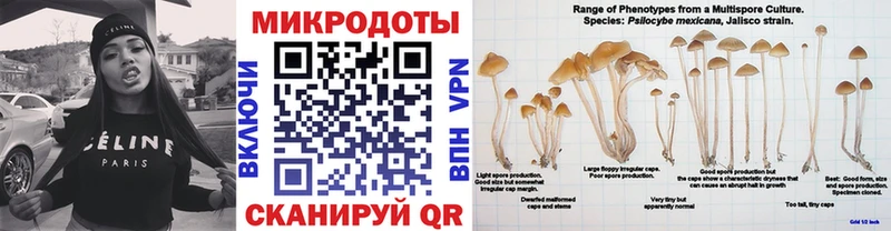 Галлюциногенные грибы мухоморы  Нытва 
